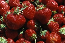 Berries in the Candida Diet