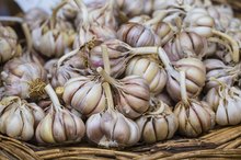 Does Garlic Increase Estrogen?