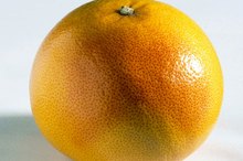 The Effects of Grapefruit on Synthroid