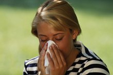 Cedar Allergy Symptoms
