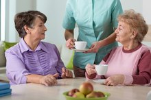 Dietary Requirements for Nursing Homes