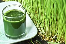 Difference Between Wheat & Wheatgrass