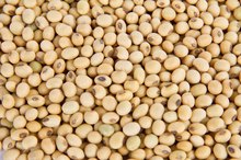 What Is a Substitute for Soybean Oil?