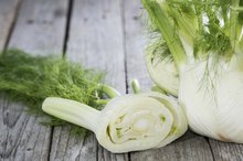 Types of Fennel