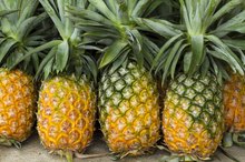 Pineapple Allergy & Bromelain