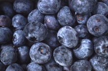 Fiber Content of Blueberries