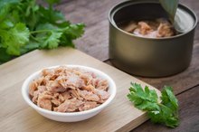 Is the Cholesterol Found in Canned Tuna Fish Healthy?