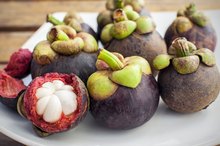 Side Effects of Mangosteen Extract