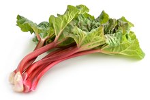 How Many Calories Are in a Cup of Cooked Rhubarb With No Added Sugar?