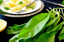 Nutritional Benefits of Ramps