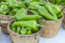Green Chile Nutrition
