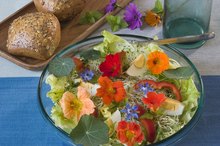 Nutritional Value of Edible Flowers