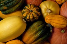 What Is the Nutritional Value of an Acorn Squash?