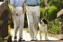 Does Walking Raise or Lower Blood Pressure Immediately?