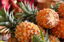 Nutritional Facts of Pineapples and Mangoes