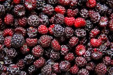 Black Raspberry Benefits