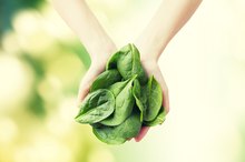 Can Eating Too Much Spinach Give You Kidney Stones?