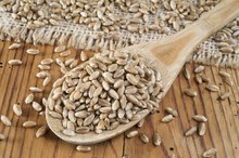 Wheat Germ & Estrogen