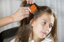 How to Use Olive Oil to Kill Head Lice