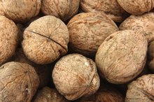 Lower Stomach Pain and Walnuts