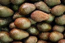 Essential Fatty Acids in Avocados