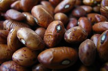 Are Kidney Beans Fattening?