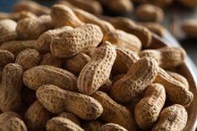 Can Nuts Cause Indigestion?