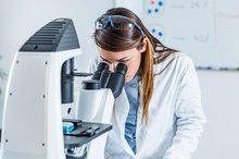 What Causes Epithelial Cells in a Urinalysis?