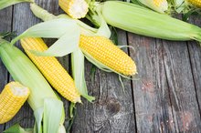 Does Corn on the Cob Provide All of the Essential Amino Acids?