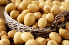 The Glycemic Index of Potatoes