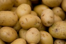 Potato Allergy Symptoms