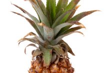 Nutritional Facts of Dole Pineapple Juice