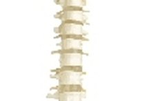 Symptoms of Thoracic Spine Pain