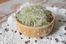 How to Eat Alfalfa Sprouts