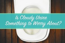 Is Cloudy Urine Something to Worry About?
