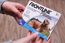 Can You Use Frontline on Humans?