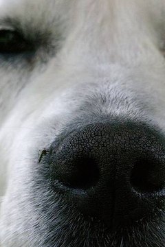 http://www.flickr.com/photos/jurek_durczak/237923322/