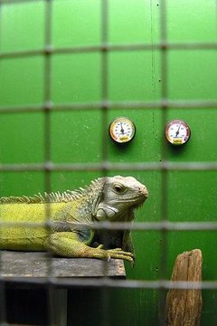 http://www.flickr.com/photos/benimoto/467271157/