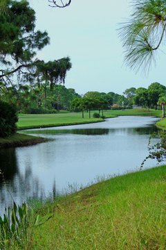 Views of a golf course offer a beautiful and relaxing environment for a book club outing.