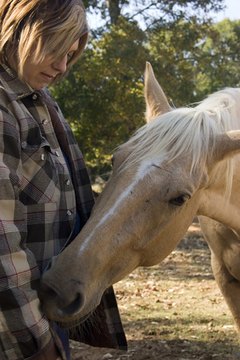 horses and people image by Photoeyes from Fotolia.com