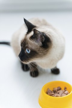 Valeriya/iStock/Getty Images