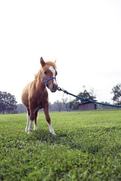 Thinkstock/Stockbyte/Getty Images