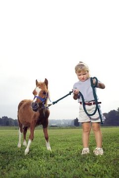 Thinkstock/Comstock/Getty Images