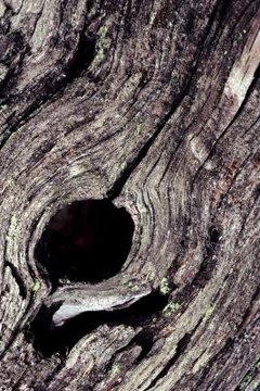 Jupiterimages/liquidlibrary/Getty Images