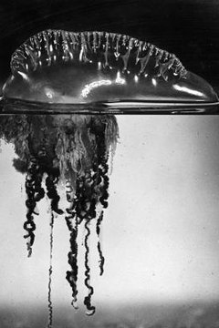 Douglas P. Wilson/Hulton Archive/Getty Images