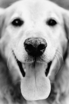 Image Source White/Image Source/Getty Images