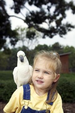 Thinkstock/Comstock/Getty Images