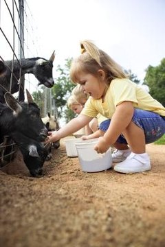 Thinkstock/Stockbyte/Getty Images