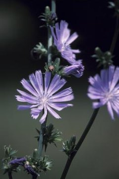 Hemera Technologies/Photos.com/Getty Images