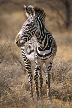 Stockbyte/Stockbyte/Getty Images